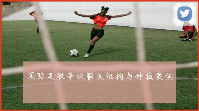 国际足联争议解决机构与仲裁案例