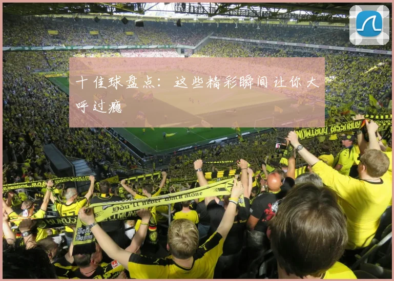 十佳球盘点：这些精彩瞬间让你大呼过瘾